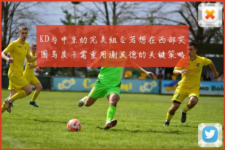 KD与申京的完美组合若想在西部突围乌度卡需重用谢泼德的关键策略
