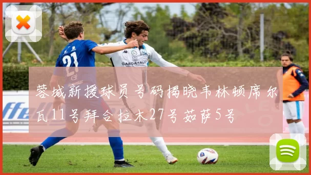 蓉城新援球员号码揭晓韦林顿席尔瓦11号拜合拉木27号茹萨5号