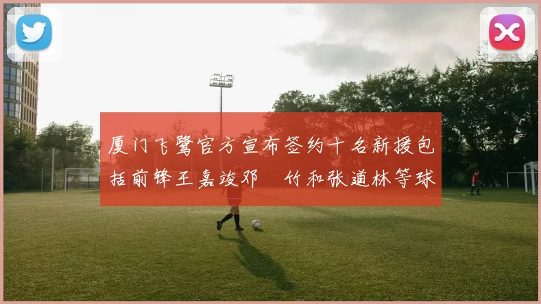厦门飞鹭官方宣布签约十名新援包括前锋王嘉竣邓棽竹和张道林等球员